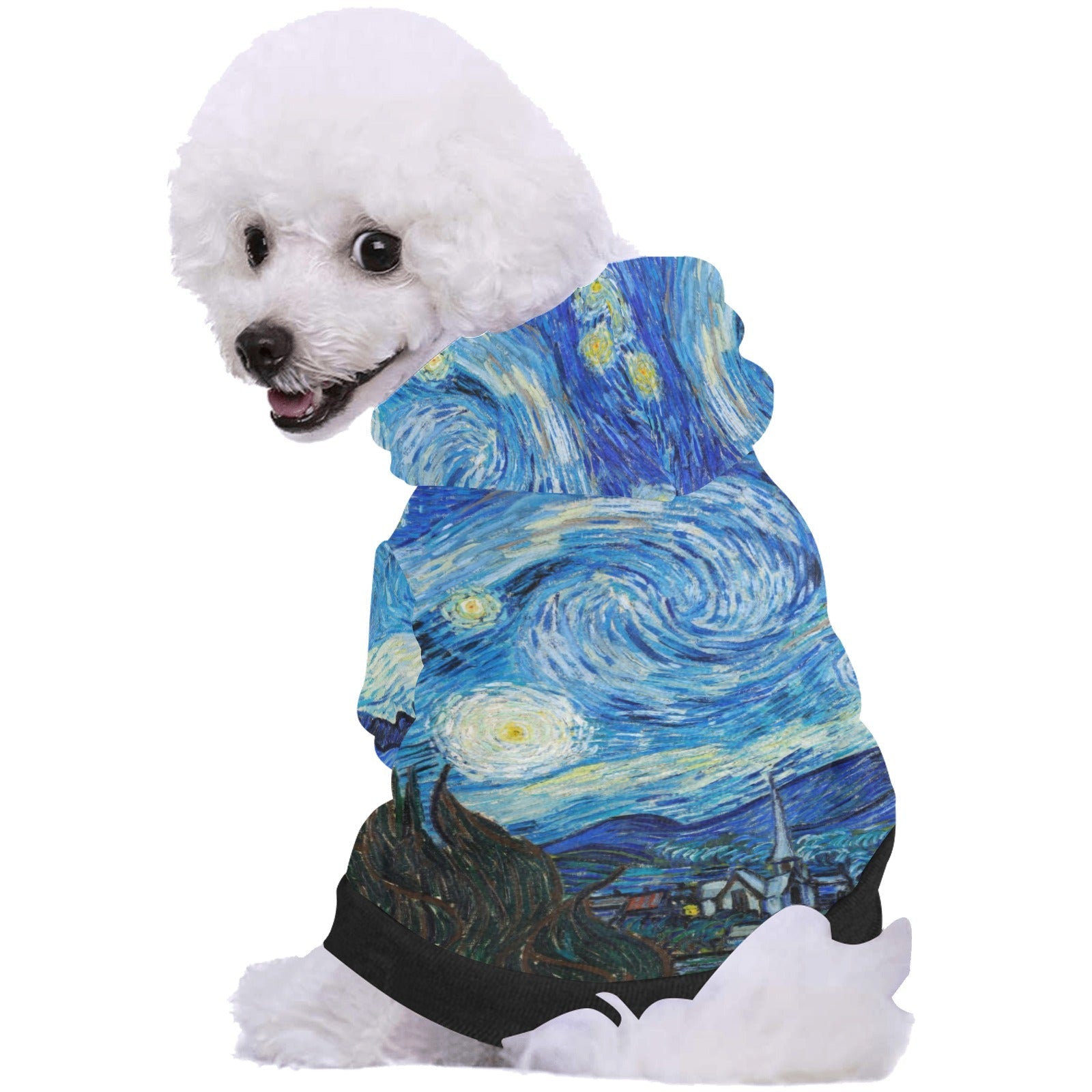 Van Gogh Starry Night Button Hoodie - WoWoWear